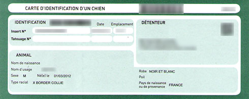 Carte d'identification d'un chien de la Société Centrale Canine