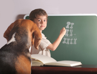 Education du chiot : bien éduquer son chien