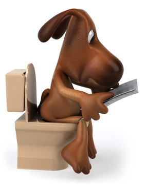 Propreté du chiot, apprendre la propreté à son chiot.